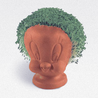 Chia Pet (1982)