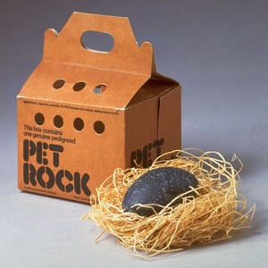Curio & Co. investigates Pet Rock - And they're already housebroken!