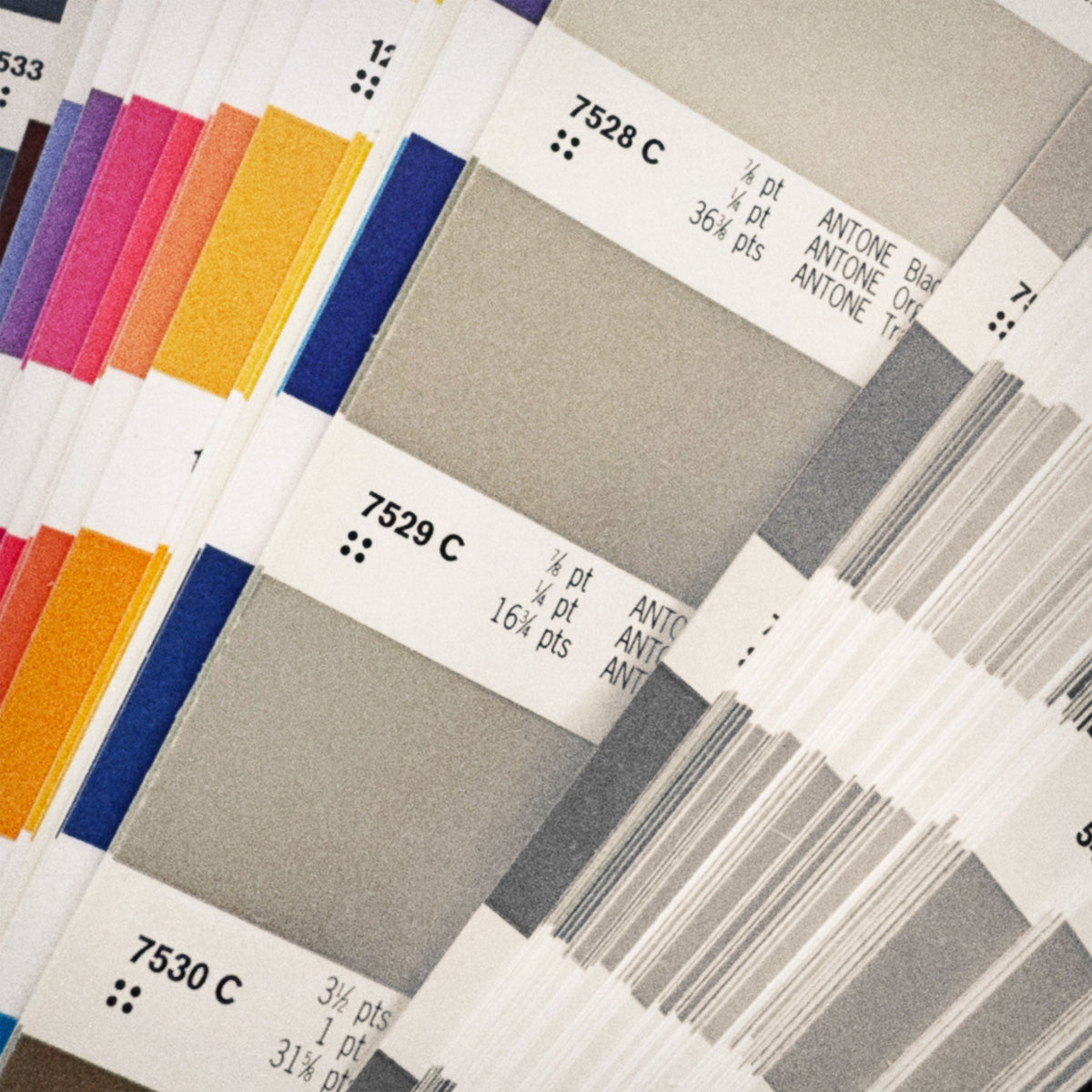 Grainy photograph of a close-up of fanned Pantone color swatches with beige shades in the center, vibrant colors on the left, and the swatches on the right shown in grayscale.