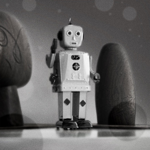 Professional Robot Seeks Purpose